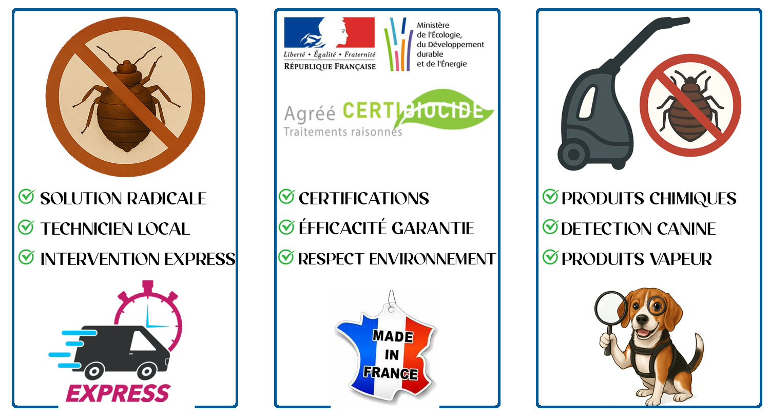 Punaises de Lit Bois Colombes