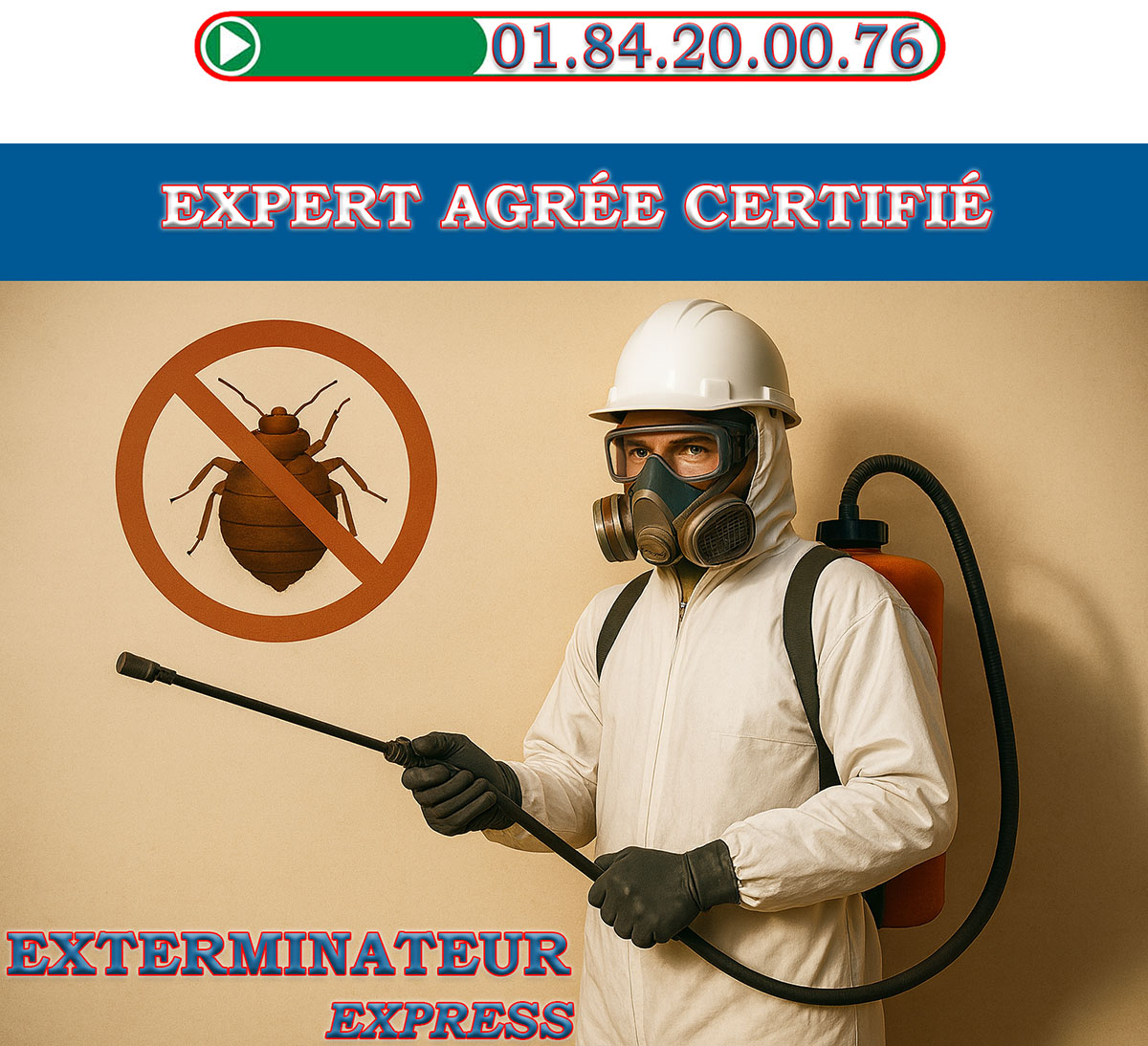 Punaises de Lit Bois Colombes